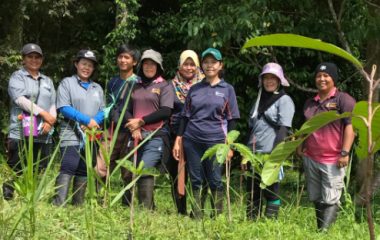 Hutan reforestation team