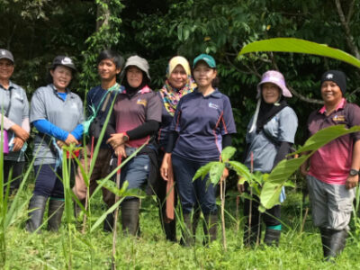 Hutan reforestation team